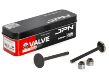 Kit Valvulas Boxer Ct Ks/Es 125 mas sellos